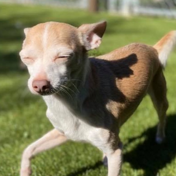 Meet your Posher, Julia - Picture 1 of 1